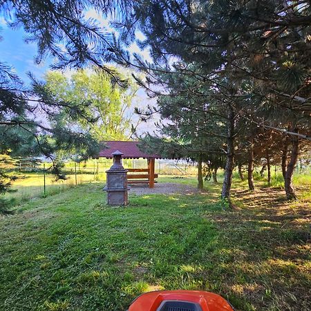 Apartamenty Jasmin I Lilia Jez. Sunowo Kolo Elku Chrzanowo Exterior photo